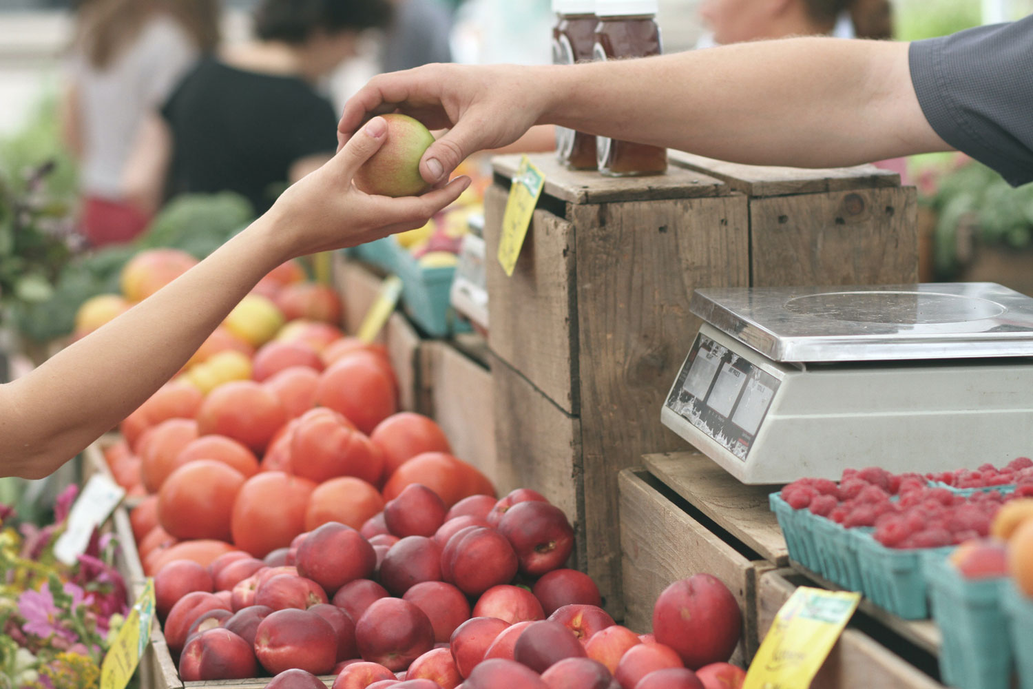 A market vendor handing an apple to a shopper