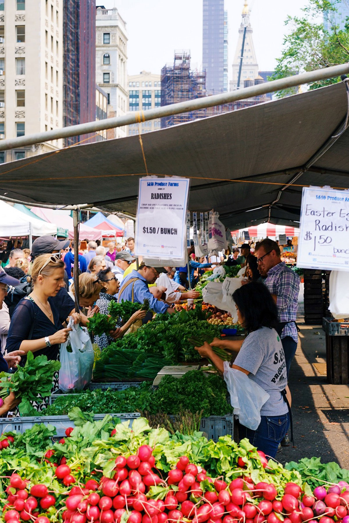 A busy city farmers market