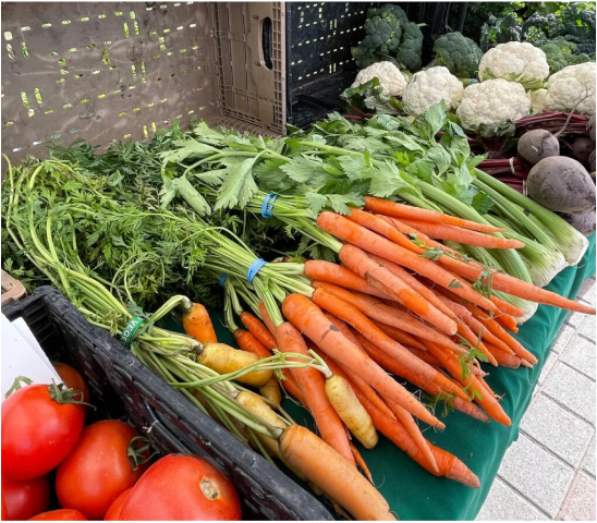 Fresh carrots at a farmers market