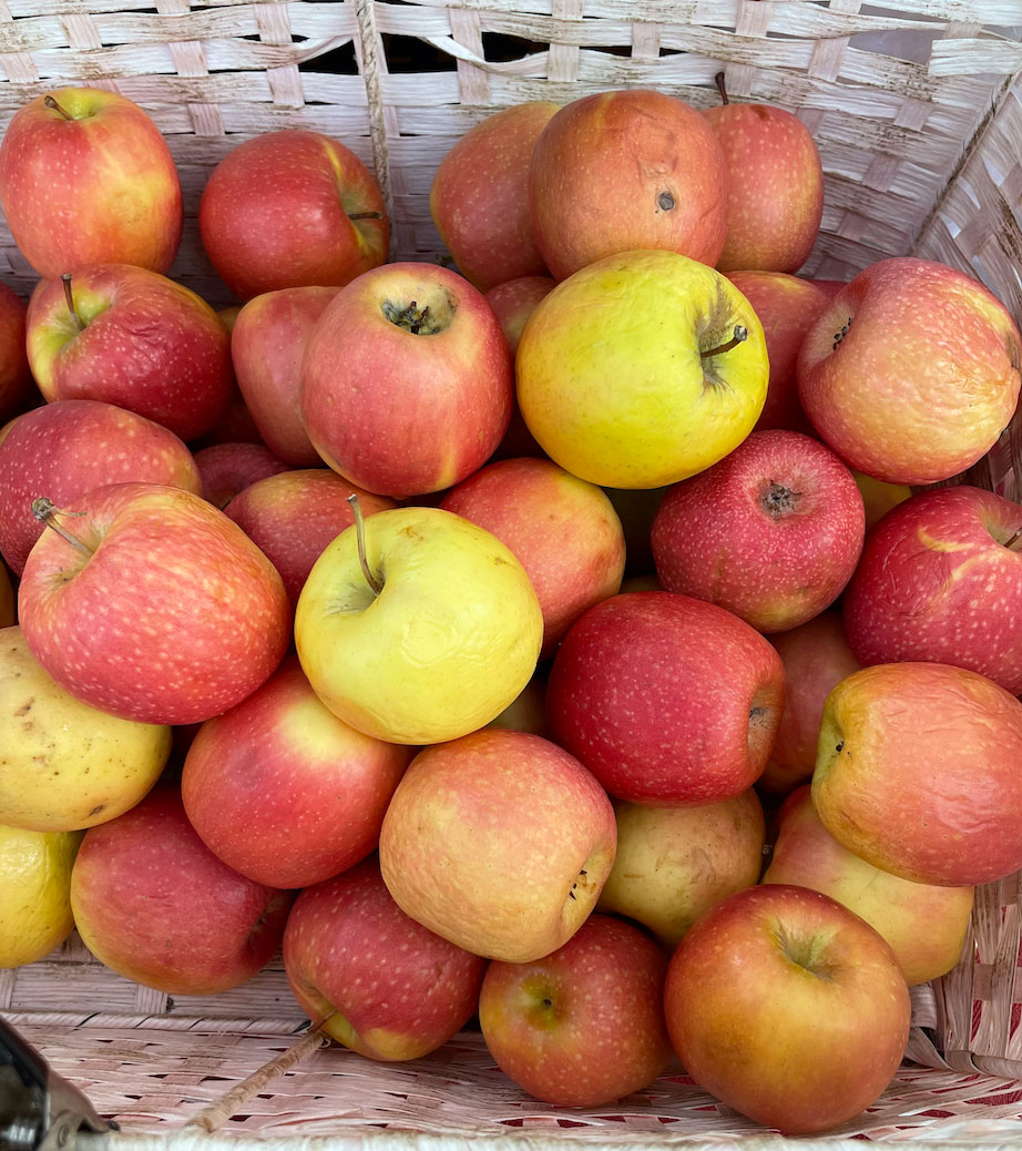 Apple (Pink Lady) [Cuyama Orchards] - FarmShoppr