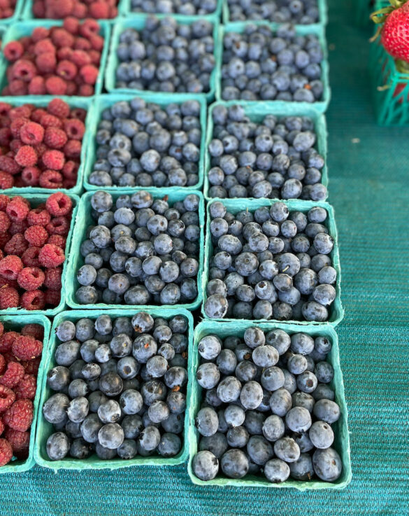 blueberry-gutierrez_farm